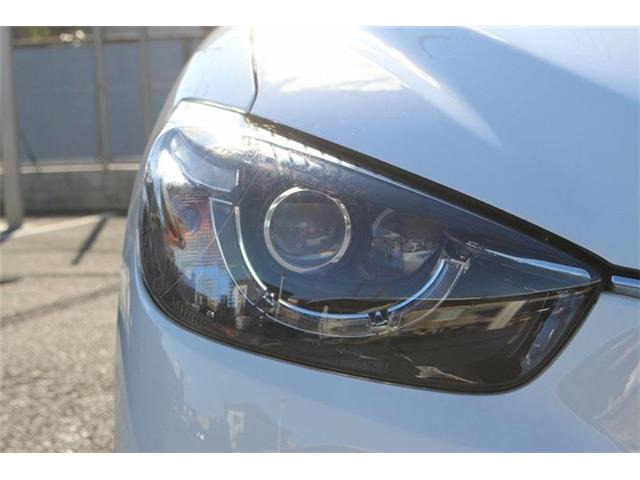 ���Ǝҗl�ւ̔̔��͂��f�肳���Ă��������܂��B �Ԍ������ԗ��̏ꍇ�́A�Ԍ����擾�������x�������z�ŕ\�����Ă���܂��B