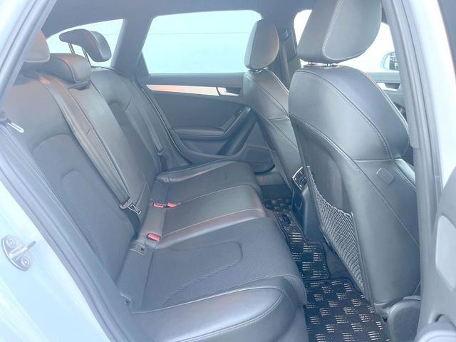 ���㕔���Ȃ��C�ɂȂ�悤�ȃL�Y�E�����ւ��蓙�A�傫�ȃ_���[�W�͂Ȃ��A�ǍD�ȏ�Ԃł��B