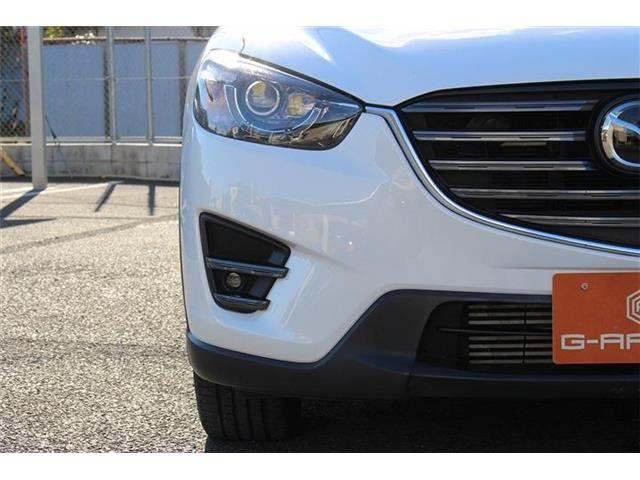 ���Ǝҗl�ւ̔̔��͂��f�肳���Ă��������܂��B �Ԍ������ԗ��̏ꍇ�́A�Ԍ����擾�������x�������z�ŕ\�����Ă���܂��B