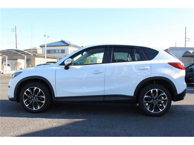 ���Ǝҗl�ւ̔̔��͂��f�肳���Ă��������܂��B �Ԍ������ԗ��̏ꍇ�́A�Ԍ����擾�������x�������z�ŕ\�����Ă���܂��B