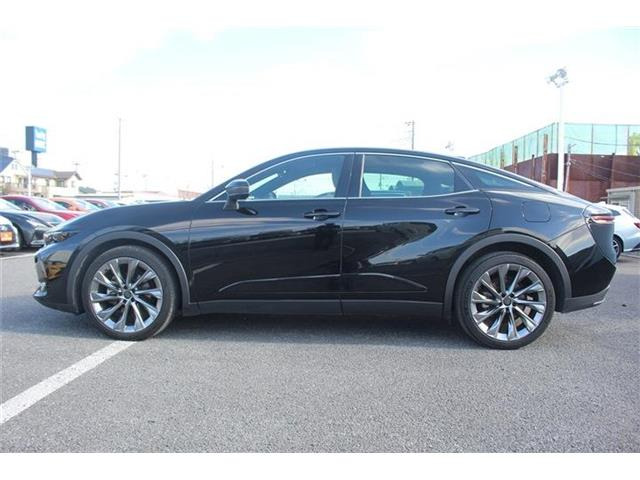 ���Ǝҗl�ւ̔̔��͂��f�肳���Ă��������܂��B �Ԍ������ԗ��̏ꍇ�́A�Ԍ����擾�������x�������z�ŕ\�����Ă���܂��B