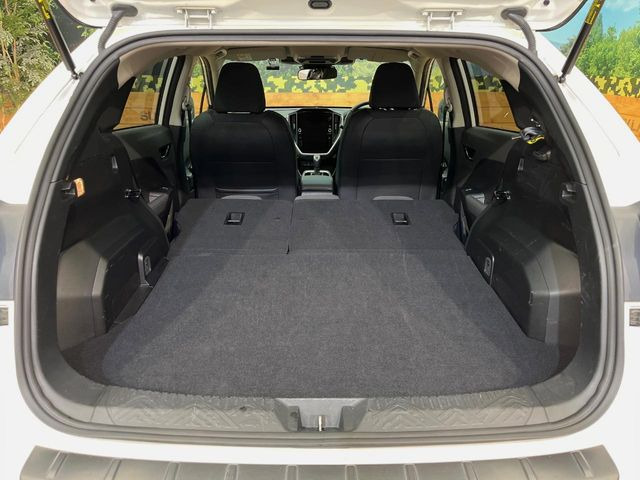 ���i�̂���������ʋ΁A���}���ɏ\���ȉ׎��X�y�[�X���m�ۂ��Ă���܂��B�Z�J���h�V�[�g��|���ƁA�傫�ȉו��̐ύڂ��\�ł���