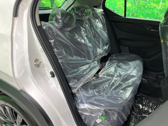 �㕔���Ȃ��C�ɂȂ�悤�ȃL�Y�E�����ւ��蓙�A�傫�ȃ_���[�W�͂Ȃ��A�ǍD�ȏ�Ԃł��B