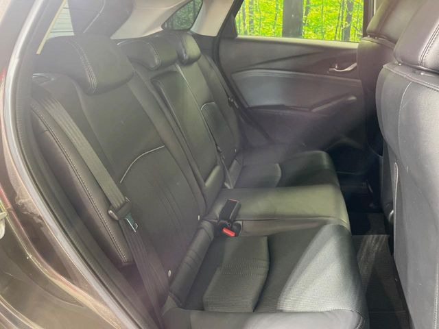 �㕔���Ȃ��C�ɂȂ�悤�ȃL�Y�E�����ւ��蓙�A�傫�ȃ_���[�W�͂Ȃ��A�ǍD�ȏ�Ԃł��B