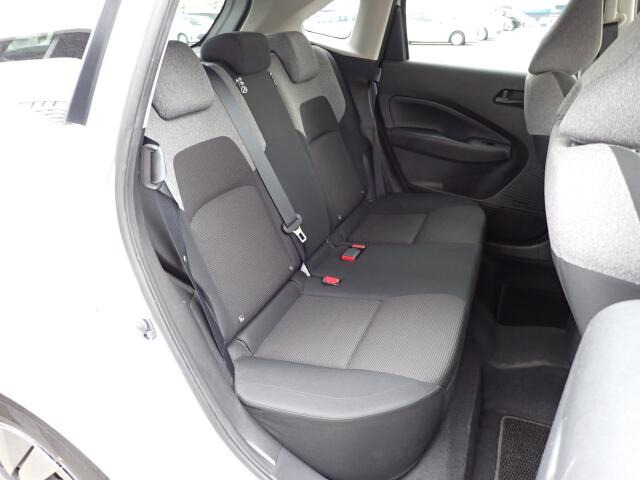 �㕔���Ȃ��傫�ȎC����Ȃ���ԗǍD�ł��B