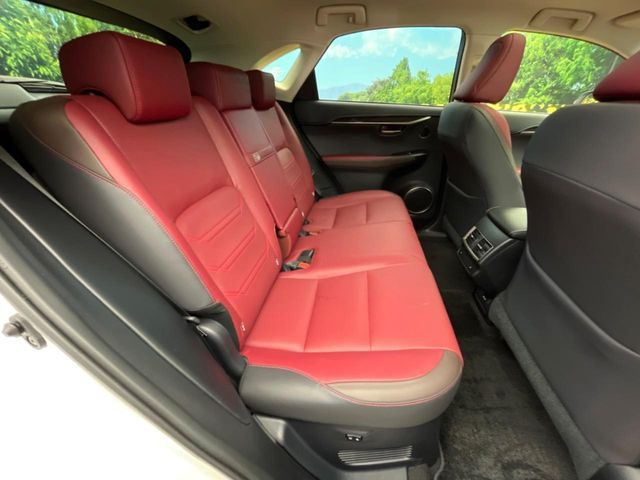 �㕔���Ȃ��C�ɂȂ�悤�ȃL�Y�E�����ւ��蓙�A�傫�ȃ_���[�W�͂Ȃ��A�ǍD�ȏ�Ԃł��B