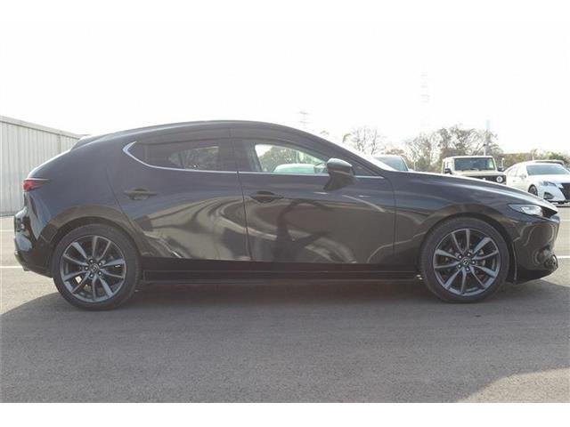 ���Ǝҗl�ւ̔̔��͂��f�肳���Ă��������܂��B �Ԍ������ԗ��̏ꍇ�́A�Ԍ����擾�������x�������z�ŕ\�����Ă���܂��B