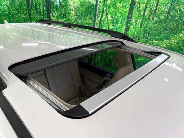 �y�T�����[�t�z�J���������Ղ�̊󏭑����A�T�����[�t����������Ă��܂�!�ԓ��ɖ�����������ꂽ��i�F���y���ވȊO�ɂ��A�ԓ��̋�C���ȒP�Ɋ��C�ł��ĉ��K�ł�!