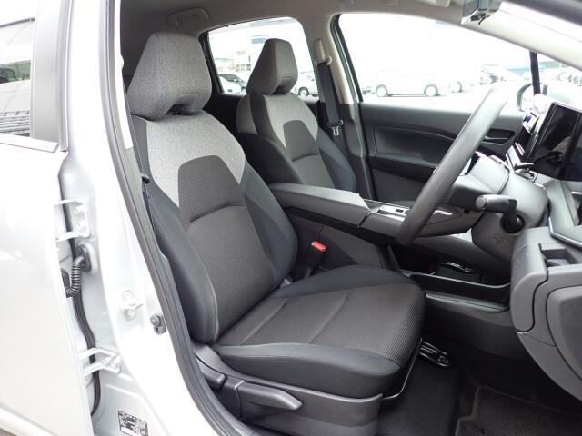 �^�]�Ȃ��傫�ȎC����Ȃ���ԗǍD�ł��B