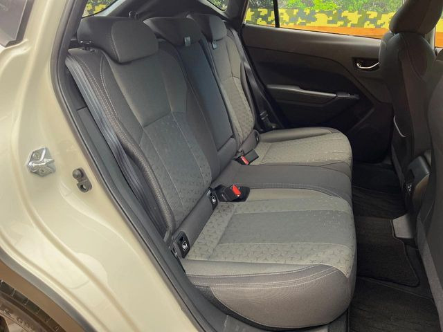 �㕔���Ȃ��C�ɂȂ�悤�ȃL�Y�E�����ւ��蓙�A�傫�ȃ_���[�W�͂Ȃ��A�ǍD�ȏ�Ԃł��B