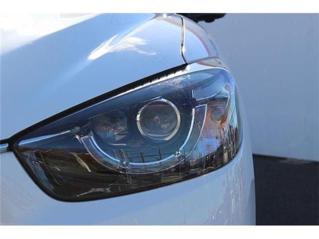 ���Ǝҗl�ւ̔̔��͂��f�肳���Ă��������܂��B �Ԍ������ԗ��̏ꍇ�́A�Ԍ����擾�������x�������z�ŕ\�����Ă���܂��B