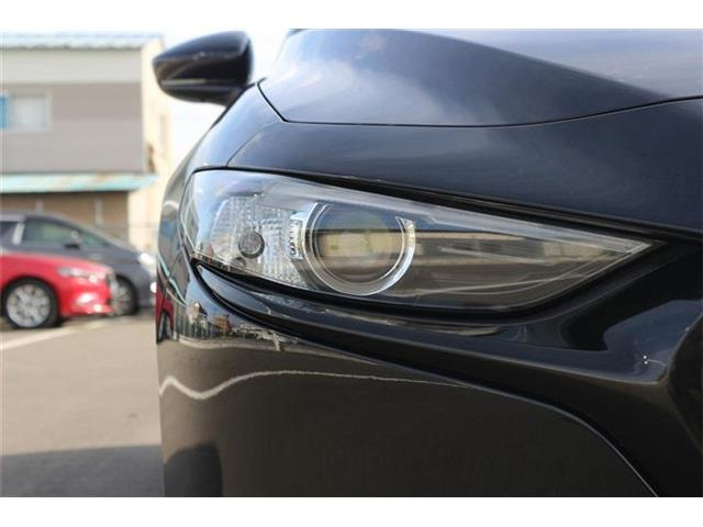 ���Ǝҗl�ւ̔̔��͂��f�肳���Ă��������܂��B �Ԍ������ԗ��̏ꍇ�́A�Ԍ����擾�������x�������z�ŕ\�����Ă���܂��B