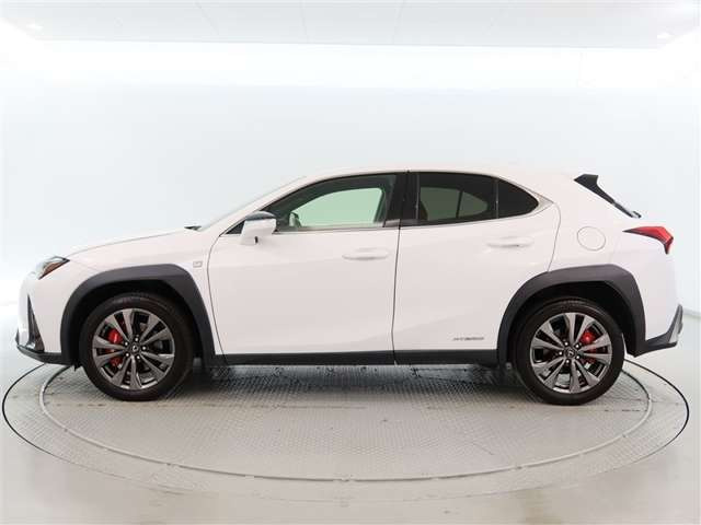 UX250h Fスポーツ