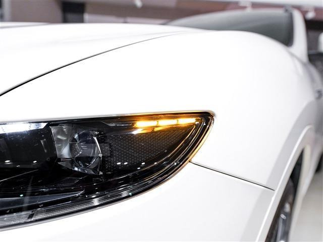 �I�v�V����:�n�C�O���X�J�[�{���t�@�C�o�[�g����