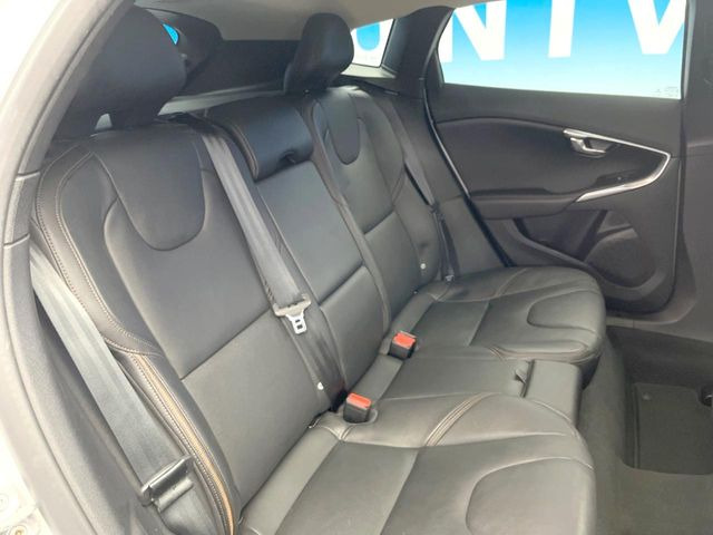 ���㕔���Ȃ��C�ɂȂ�悤�ȃL�Y�E�����ւ��蓙�A�傫�ȃ_���[�W�͂Ȃ��A�ǍD�ȏ�Ԃł��B