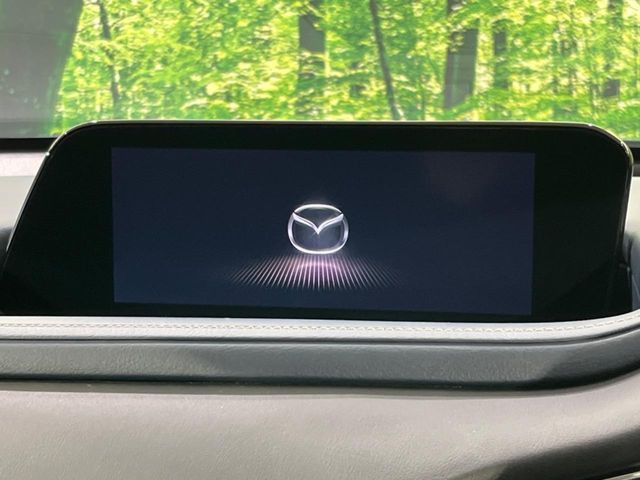 �y�f�B�X�v���C�I�[�f�B�I�z���莝���̃X�}�[�g�t�H���Ƃ̘A�g�ŁA�i�r�≹�y�Đ��ȂǊe��A�v�����g�p�\�B�X�}�z�ɋ߂����o�ł��g�����������܂���