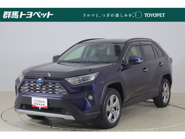 RAV42.5 ハイブリッド G E-Four 4WD
