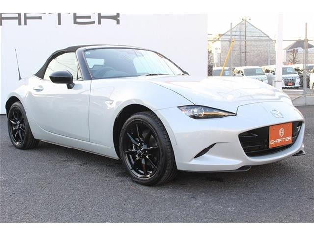 ���Ǝҗl�ւ̔̔��͂��f�肳���Ă��������܂��B �Ԍ������ԗ��̏ꍇ�́A�Ԍ����擾�������x�������z�ŕ\�����Ă���܂��B