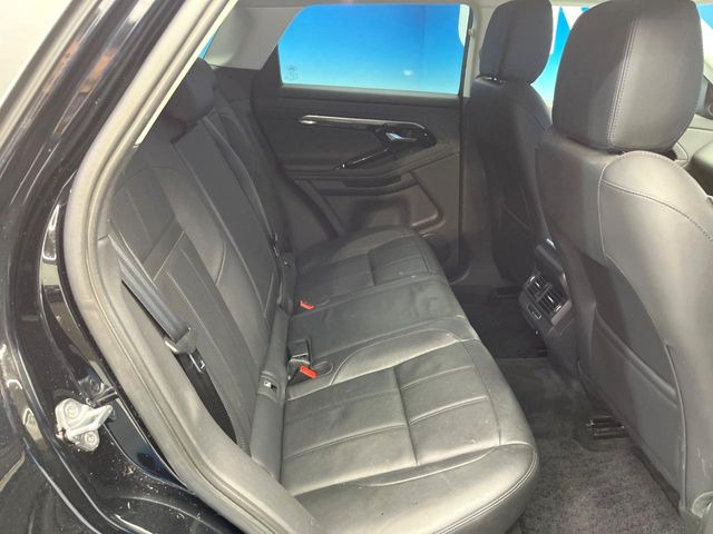 ���㕔���Ȃ��C�ɂȂ�悤�ȃL�Y�E�����ւ��蓙�A�傫�ȃ_���[�W�͂Ȃ��A�ǍD�ȏ�Ԃł��B