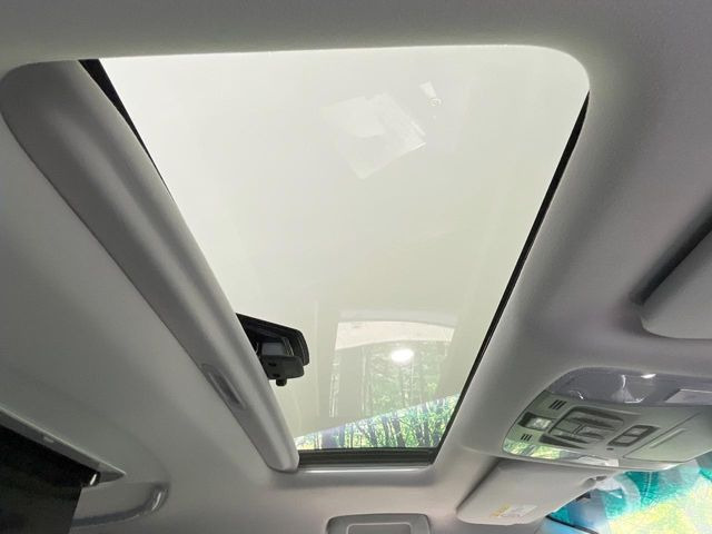 �y�T�����[�t�z�J���������Ղ�̊󏭑����A�T�����[�t����������Ă��܂�!�ԓ��ɖ�����������ꂽ��i�F���y���ވȊO�ɂ��A�ԓ��̋�C���ȒP�Ɋ��C�ł��ĉ��K�ł�!