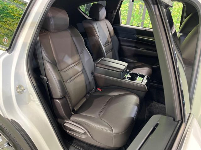 �㕔���Ȃ��C�ɂȂ�悤�ȃL�Y�E�����ւ��蓙�A�傫�ȃ_���[�W�͂Ȃ��A�ǍD�ȏ�Ԃł��B