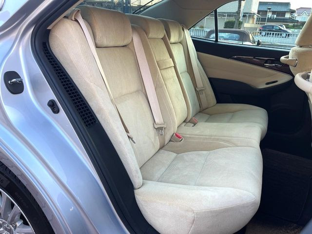 �㕔���Ȃ��C�ɂȂ�悤�ȃL�Y�E�����ւ��蓙�A�傫�ȃ_���[�W�͂Ȃ��A�ǍD�ȏ�Ԃł��B