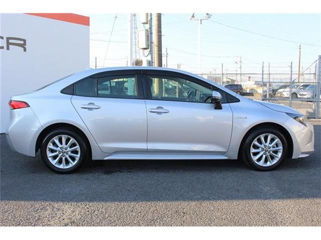 ���Ǝҗl�ւ̔̔��͂��f�肳���Ă��������܂��B �Ԍ������ԗ��̏ꍇ�́A�Ԍ����擾�������x�������z�ŕ\�����Ă���܂��B