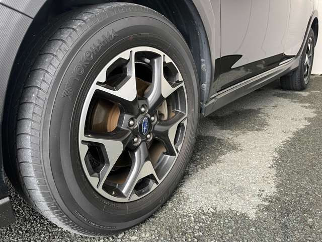 ���k���[���ɂ̓L�b�Y���[�������p�ӂ��Ă���܂��􂨎q�l�A��ł��������Ƃ��Ԃ����I�т��������܂�!