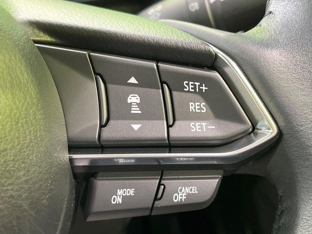 �y�}�c�_�E���[�_�[�N���[�Y�R���g���[���z�������H�ł̒��������s���y��!�����ő��x��ۂN���[�Y�R���g���[�����A�Փˌy���V�X�e���ƘA�g���A�O���̎ԗ������m���ĎԊԂ�ۂ悤�ɑ��x���߂��Ă���܂�!!