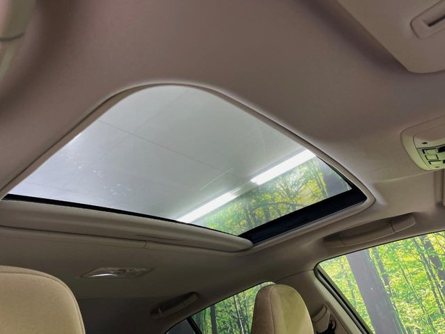 �y�T�����[�t�z�J���������Ղ�̊󏭑����A�T�����[�t����������Ă��܂�!�ԓ��ɖ�����������ꂽ��i�F���y���ވȊO�ɂ��A�ԓ��̋�C���ȒP�Ɋ��C�ł��ĉ��K�ł�!