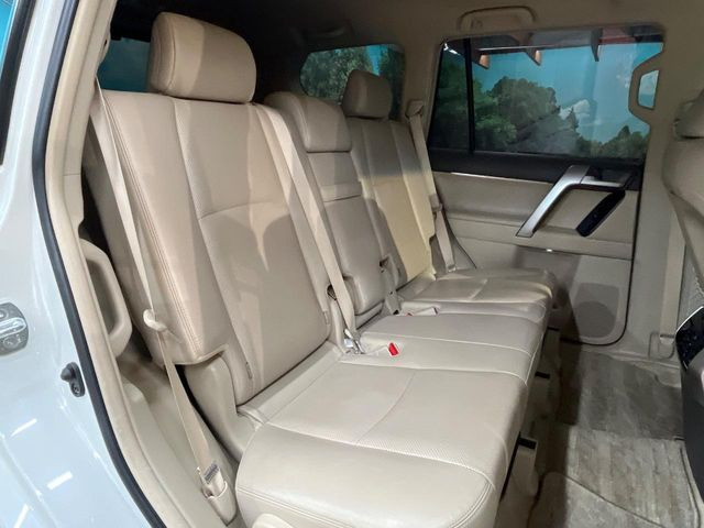 �㕔���Ȃ��C�ɂȂ�悤�ȃL�Y�E�����ւ��蓙�A�傫�ȃ_���[�W�͂Ȃ��A�ǍD�ȏ�Ԃł��B