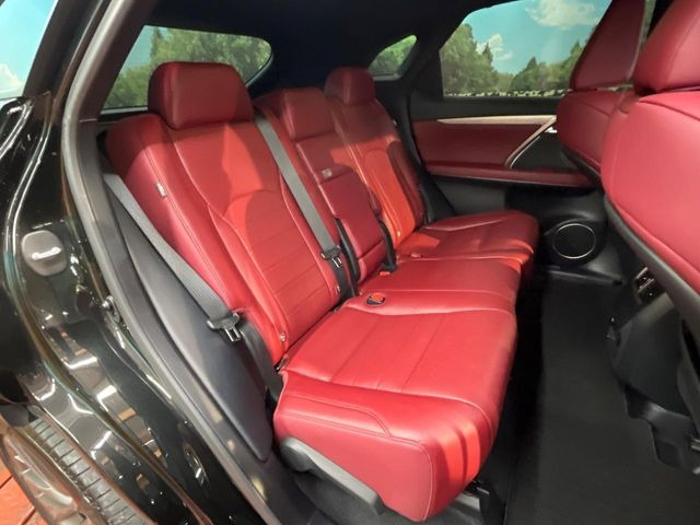 �㕔���Ȃ��C�ɂȂ�悤�ȃL�Y�E�����ւ��蓙�A�傫�ȃ_���[�W�͂Ȃ��A�ǍD�ȏ�Ԃł��B