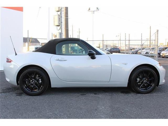 ���Ǝҗl�ւ̔̔��͂��f�肳���Ă��������܂��B �Ԍ������ԗ��̏ꍇ�́A�Ԍ����擾�������x�������z�ŕ\�����Ă���܂��B