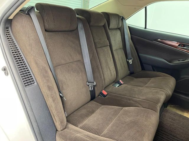 �㕔���Ȃ��C�ɂȂ�悤�ȃL�Y�E�����ւ��蓙�A�傫�ȃ_���[�W�͂Ȃ��A�ǍD�ȏ�Ԃł��B