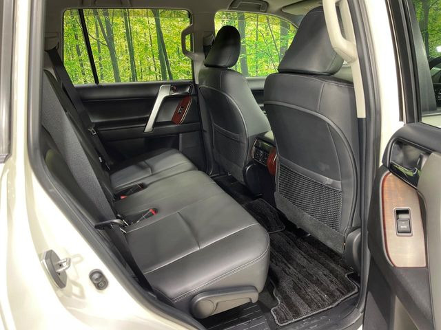 �㕔���Ȃ��C�ɂȂ�悤�ȃL�Y�E�����ւ��蓙�A�傫�ȃ_���[�W�͂Ȃ��A�ǍD�ȏ�Ԃł��B