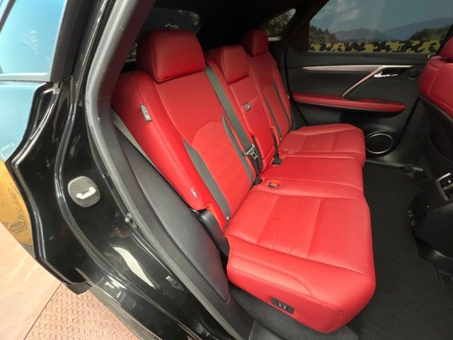 �㕔���Ȃ��C�ɂȂ�悤�ȃL�Y�E�����ւ��蓙�A�傫�ȃ_���[�W�͂Ȃ��A�ǍD�ȏ�Ԃł��B