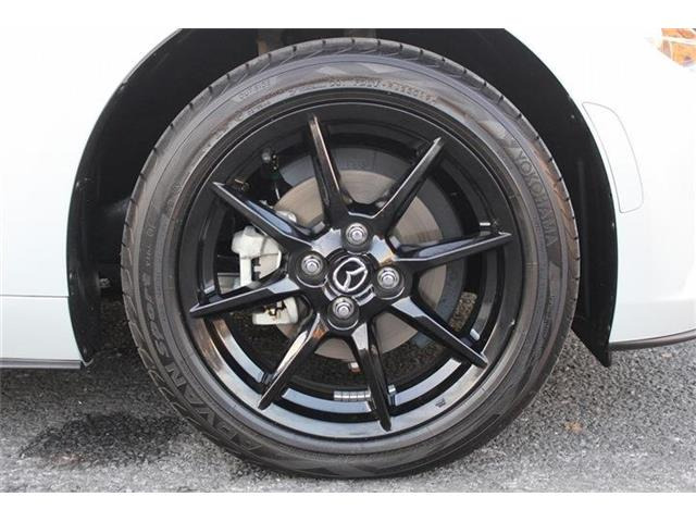 ���Ǝҗl�ւ̔̔��͂��f�肳���Ă��������܂��B �Ԍ������ԗ��̏ꍇ�́A�Ԍ����擾�������x�������z�ŕ\�����Ă���܂��B