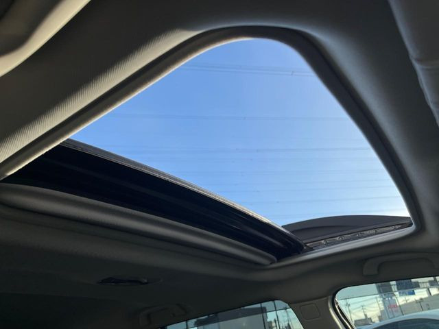 �y�T�����[�t�z�J���������Ղ�̊󏭑����A�T�����[�t����������Ă��܂�!�ԓ��ɖ�����������ꂽ��i�F���y���ވȊO�ɂ��A�ԓ��̋�C���ȒP�Ɋ��C�ł��ĉ��K�ł�!