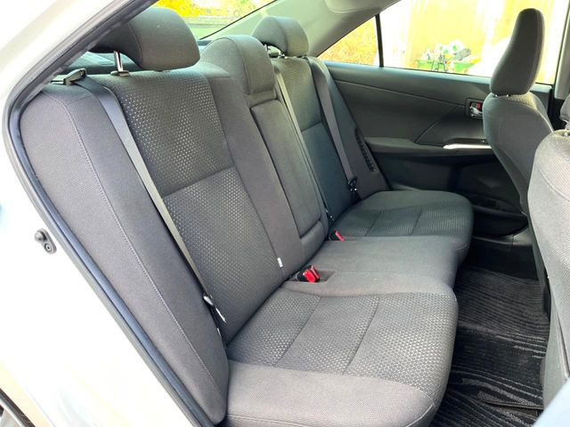 �㕔���Ȃ��C�ɂȂ�悤�ȃL�Y�E�����ւ��蓙�A�傫�ȃ_���[�W�͂Ȃ��A�ǍD�ȏ�Ԃł��B