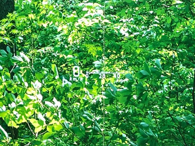 �y�w�b�h�A�b�v�f�B�X�v���C�z���݂̑��x�⑖�s�����f�W�^���\���ŉ^�]�ȑO���̃K���X�ɓ��e!�^�]���A�ڐ������炳���K�v�ȏ����m�F�ł���̂łƂ��Ă��֗��ň��S!