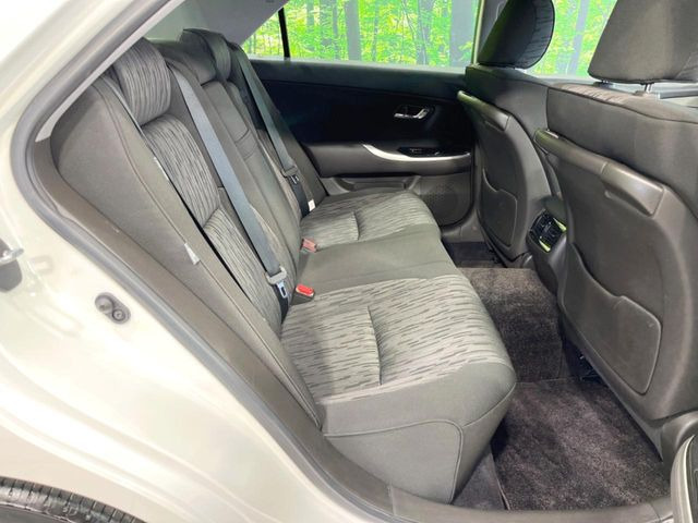 �㕔���Ȃ��C�ɂȂ�悤�ȃL�Y�E�����ւ��蓙�A�傫�ȃ_���[�W�͂Ȃ��A�ǍD�ȏ�Ԃł��B