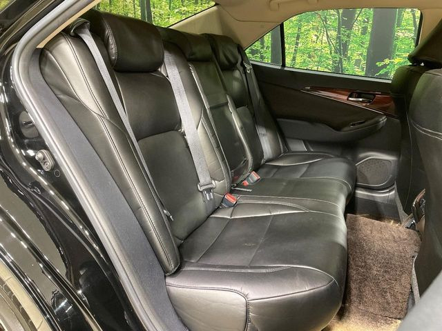 �㕔���Ȃ��C�ɂȂ�悤�ȃL�Y�E�����ւ��蓙�A�傫�ȃ_���[�W�͂Ȃ��A�ǍD�ȏ�Ԃł��B