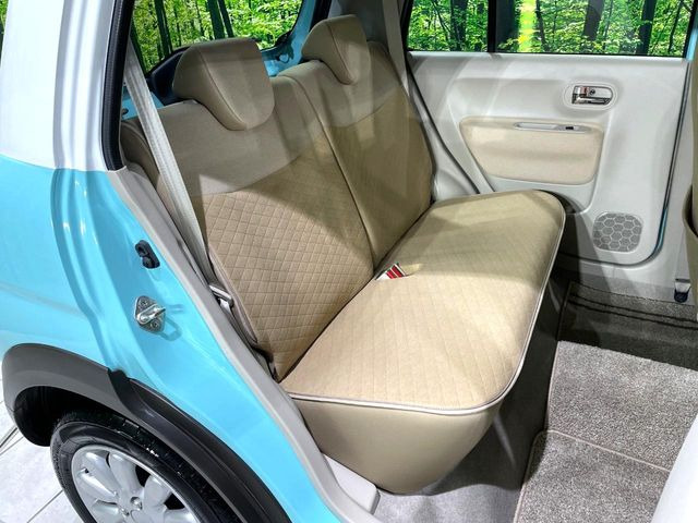 �㕔���Ȃ��C�ɂȂ�悤�ȃL�Y�E�����ւ��蓙�A�傫�ȃ_���[�W�͂Ȃ��A�ǍD�ȏ�Ԃł��B