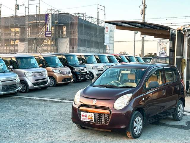 �y39.8���X�J�[�Y�̎��q���������������A���ɂ��肪�Ƃ��������܂��B���������S�s���c1186-7TEL:0942-73-6060�܂ł��⍇����������