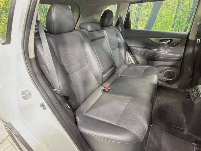 �㕔���Ȃ��C�ɂȂ�悤�ȃL�Y�E�����ւ��蓙�A�傫�ȃ_���[�W�͂Ȃ��A�ǍD�ȏ�Ԃł��B