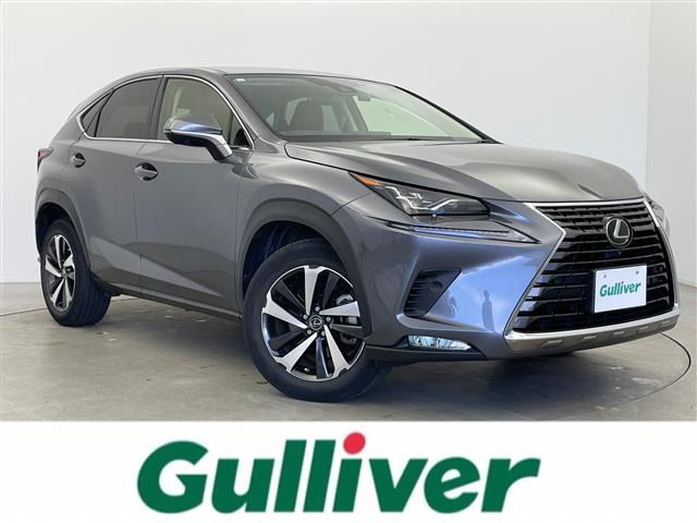 NX300 バージョンL