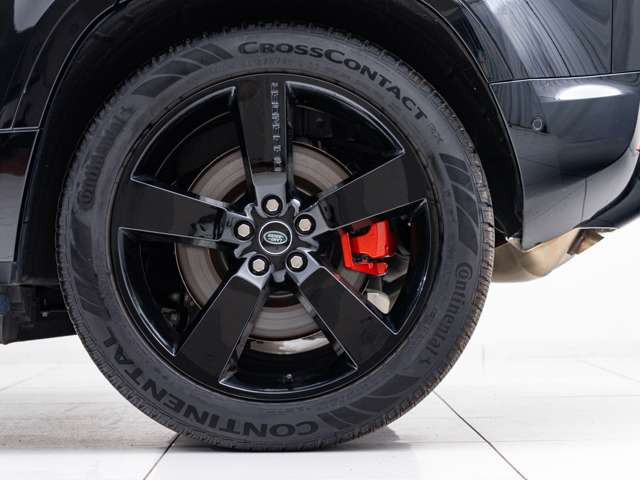 �y�����Ԃ̍���͐���A�y���^�ցz�����͍��Y�ԁA�A���Ԗ�킸�S�Ԏ킪�u����v�̑Ώۂł��B�V���f�����牝�N�̖��Ԃ܂ŁA�܂��͈�x���˗����������܂�!�l�C���f���̉���苭������