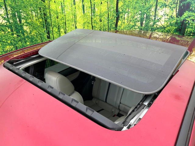 �y�T�����[�t�z�J���������Ղ�̊󏭑����A�T�����[�t����������Ă��܂�!�ԓ��ɖ�����������ꂽ��i�F���y���ވȊO�ɂ��A�ԓ��̋�C���ȒP�Ɋ��C�ł��ĉ��K�ł�!