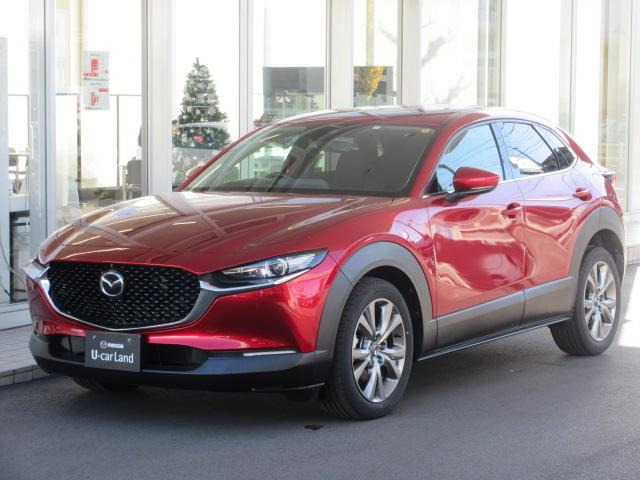 CX-301.8 XD プロアクティブ ツーリングセレクション 4WD