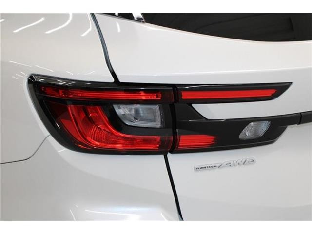 ���Ǝҗl�ւ̔̔��͂��f�肳���Ă��������܂��B �Ԍ������ԗ��̏ꍇ�́A�Ԍ����擾�������x�������z�ŕ\�����Ă���܂��B